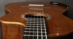 Delgado crossover guitar down front view