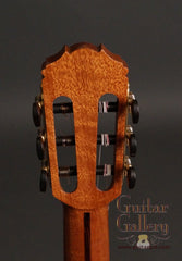 Delgado crossover guitar headstock back