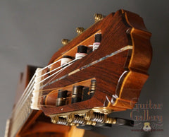 Delgado crossover guitar headstock