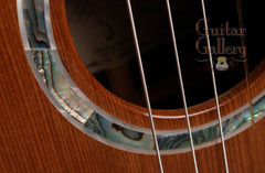 Delgado crossover guitar rosette