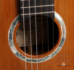 Delgado crossover guitar rosette