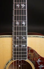 Gibson Doves in Flight guitar fretboard