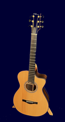 Wingert EVC Dream Brazilian rosewood guitar 