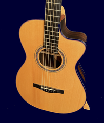 Wingert EVC guitar, Italian Spruce top