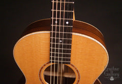 Elysian guitar for sale at Guitar Gallery