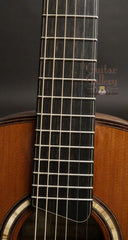 Ensor guitar fretboard