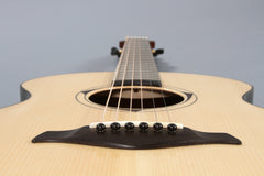 Strahm Guitar: Eros Model