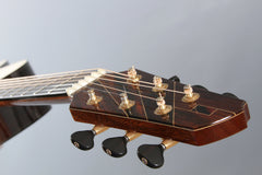 Strahm Guitar: Eros Model