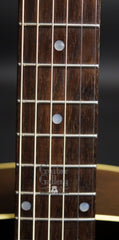 Fairbanks F-30 RS guitar fretboard