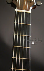 Simon Fay guitar fan frets