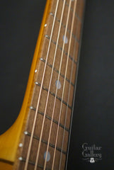Fraulini guitar fretboard