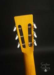 Fraulini Erma Guitar