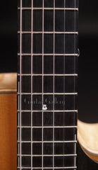 Galloup archtop guitar fretboard