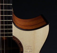 Gerber guitar cutaway