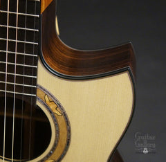 Greenfield GF guitar cutaway