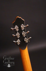 Galloup Hybrid Guitar headstock back