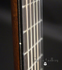 Greenfield Special Reserve G1 guitar fretboard