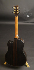 Greenfield Special Reserve G1 guitar back full