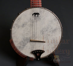 Lame Horse Gitjo (Banjo Guitar)