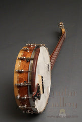 Lame Horse Gitjo (Banjo Guitar)