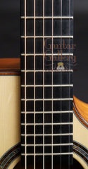 Charis SJ guitar fretboard