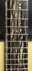 Greven PS Guitar Gallery 20th Anniversary Guitar