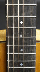 Greven guitar fretboard