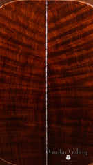 Hewett Brazilian rosewood D guitar back detail