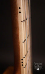 New Complexity Harmonic Isolator guitar side dots
