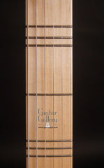 New Complexity Harmonic Isolator guitar fretboard
