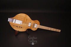 New Complexity Harmonic Isolator guitar glam shot