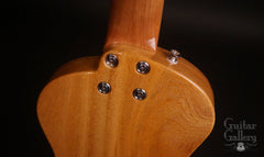 New Complexity Harmonic Isolator guitar heel