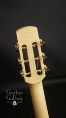 Hemken Hybrid Guitar headstock back