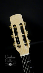 Hemken Hybrid Guitar headstock