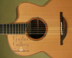 Lowden Guitar: Used Honduran Rosewood F50c