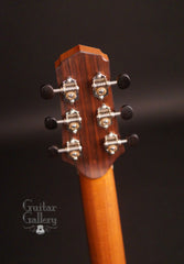 Indian Hill 00 guitar headstock back plate