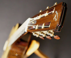 Ryan Abbey Parlor Guitar headstock