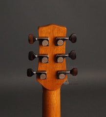 Rein Guitar: Used RJN-5 Brazilian Rosewood