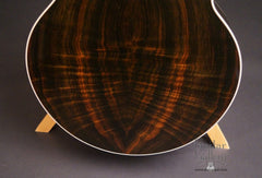 Klein Brazilian rosewood acoustic guitar low back