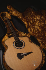 Klein 426 acoustic guitar inside case