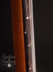 Turner Marrakech resonator guitar side dots