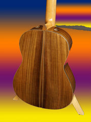 Kenny Hill custom classical guitar Indian rosewood back