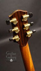 Ryan Mission GC guitar headstock back