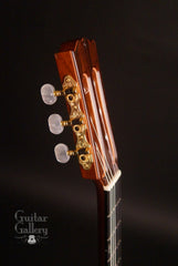 Kirk Sand Jazz guitar tuners