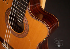 Kirk Sand Jazz guitar cutaway