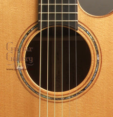 Laurie Williams kiwi guitar rosette