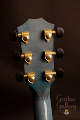 Taylor GSLE Living Jewels Koi Guitar