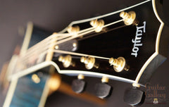 Taylor GSLE Living Jewels Koi Guitar