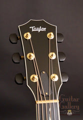 Taylor GSLE Living Jewels Koi Guitar