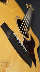 Langejans RGC-6 guitar